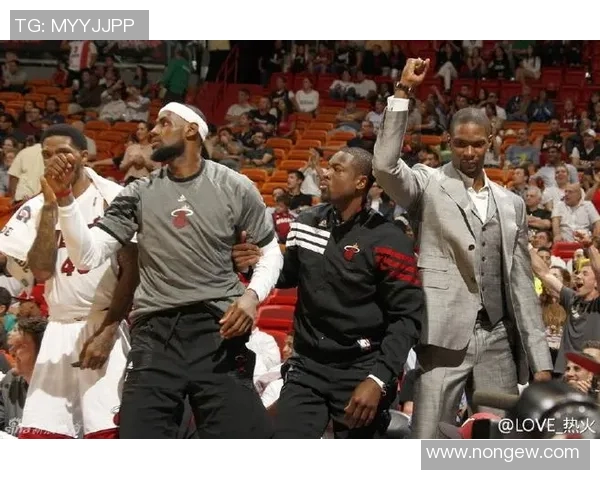 热火与山猫精彩对决回顾视频下载分享及分析解读