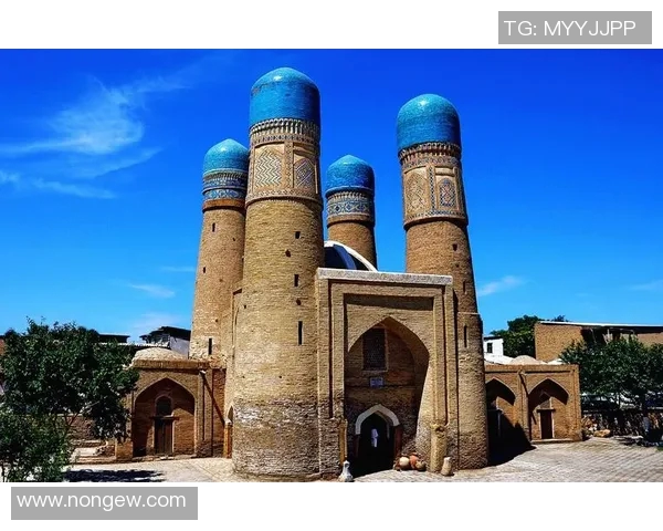 探索阿拉巴的独特魅力与文化遗产之旅