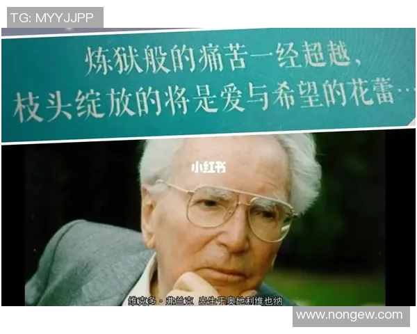 海夫的故事：在波涛汹涌中寻找生命的意义与希望