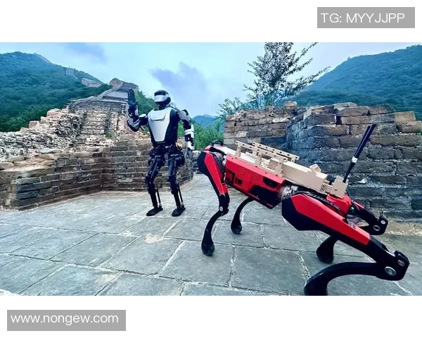 吕安宇：在科技与艺术交汇处的创新探索之路