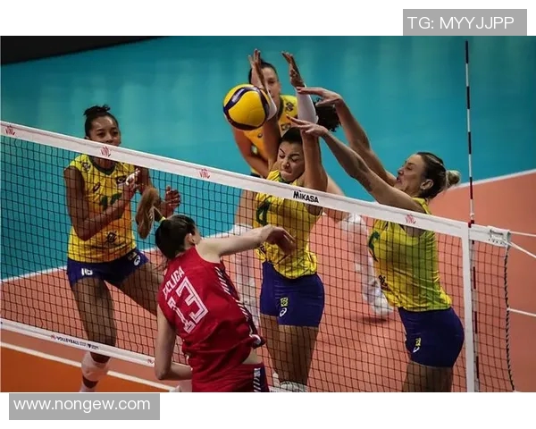 激情对决直播中国女排迎战韩国队全力争胜展现巾帼风采