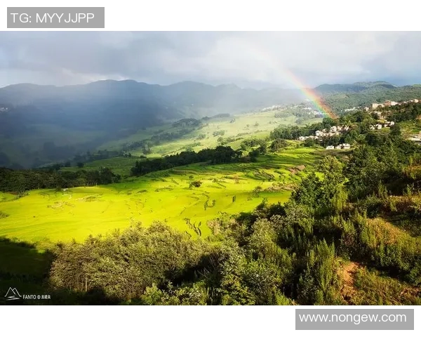 龙中乡足球比赛精彩直播视频回顾与精彩瞬间分享
