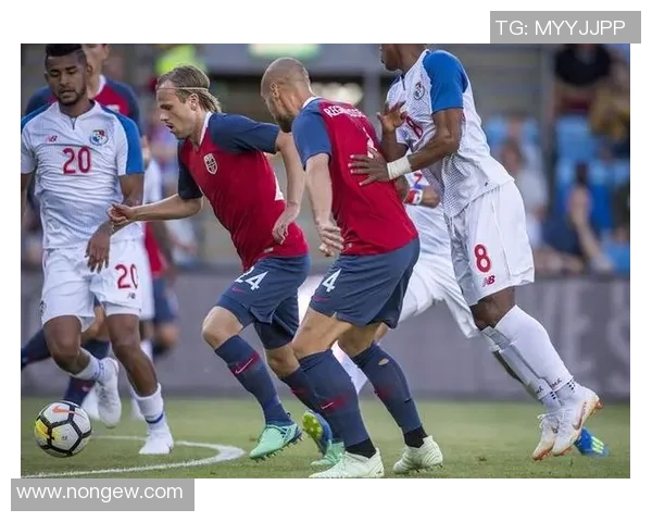 冰岛与挪威足球比赛现场直播全程回顾与精彩瞬间分享