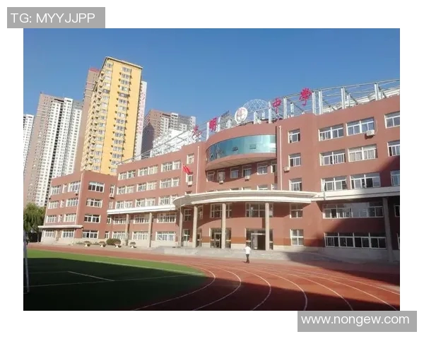 焦泊乔的奋斗历程与人生哲学探秘：从平凡到卓越的成长之路