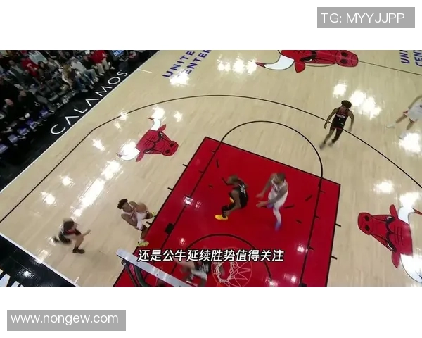 黄蜂与公牛精彩对决视频直播全程回顾与分析