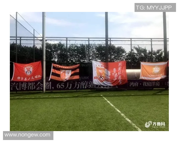 重庆斯威迎战山东鲁能全力争胜展现主场实力与斗志