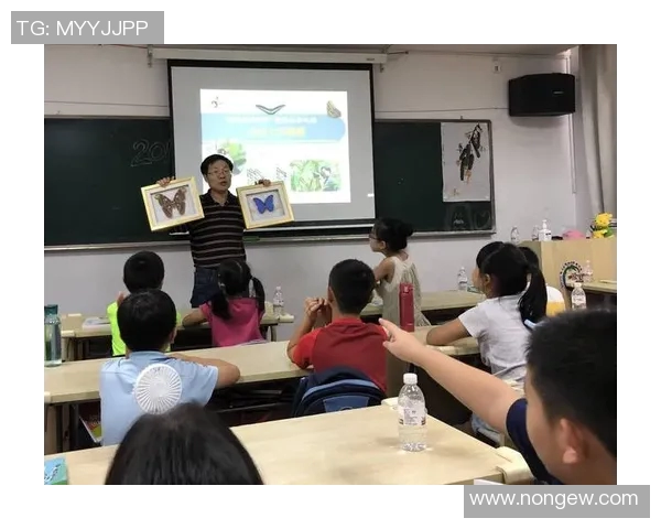 张宁的奋斗历程与成就探索：从平凡到卓越的成长之路